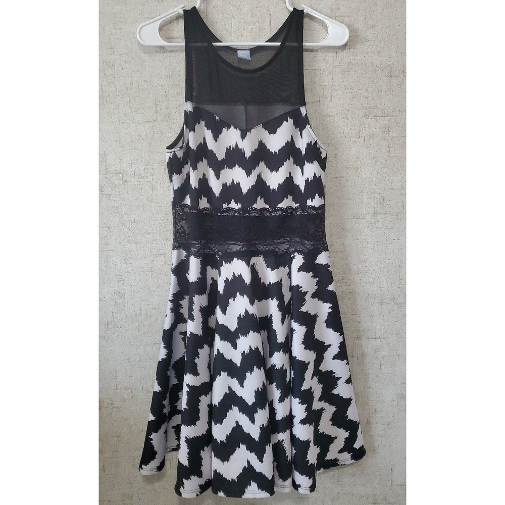 Cloudless Black and White Sheer Lace Dress